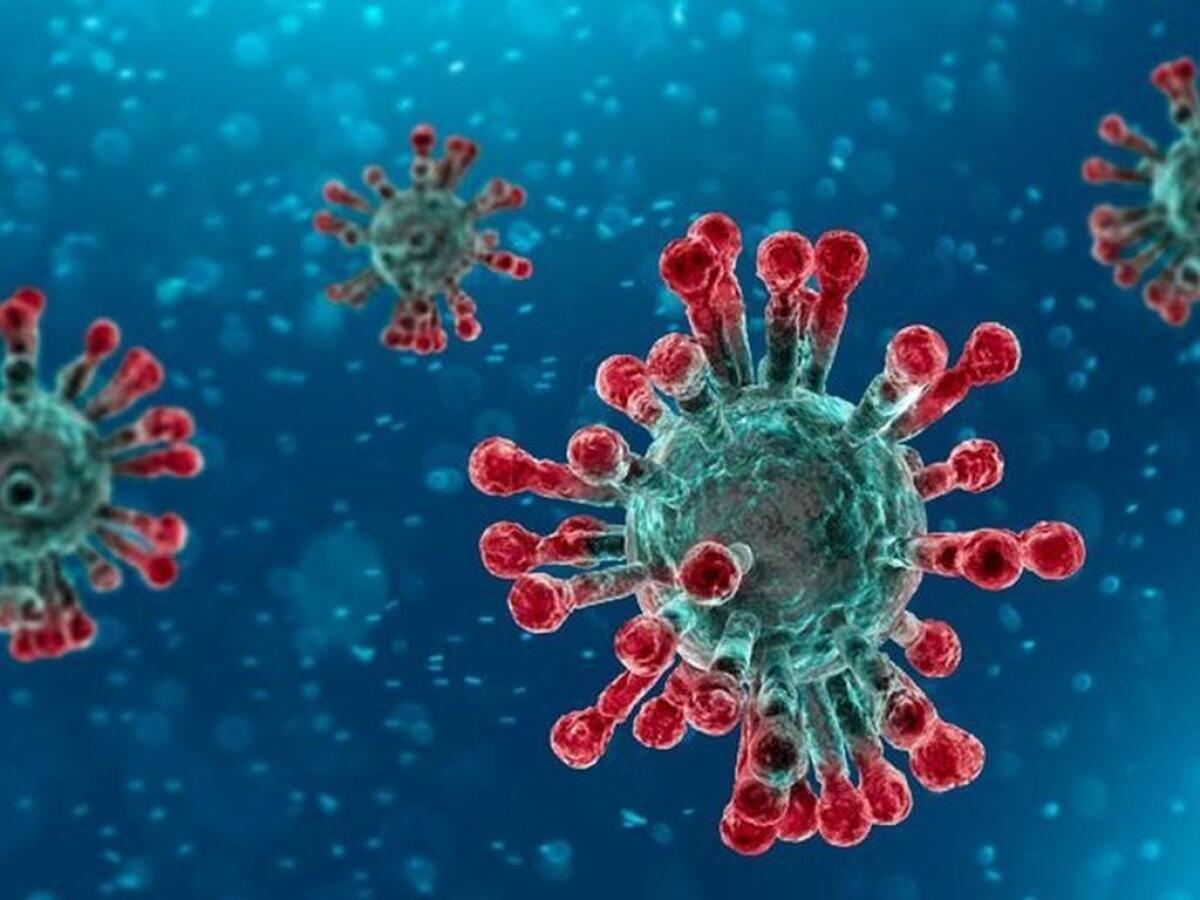 Coronavirus, riparte la sperimentazione del vaccino Astrazeneca-Oxford - 