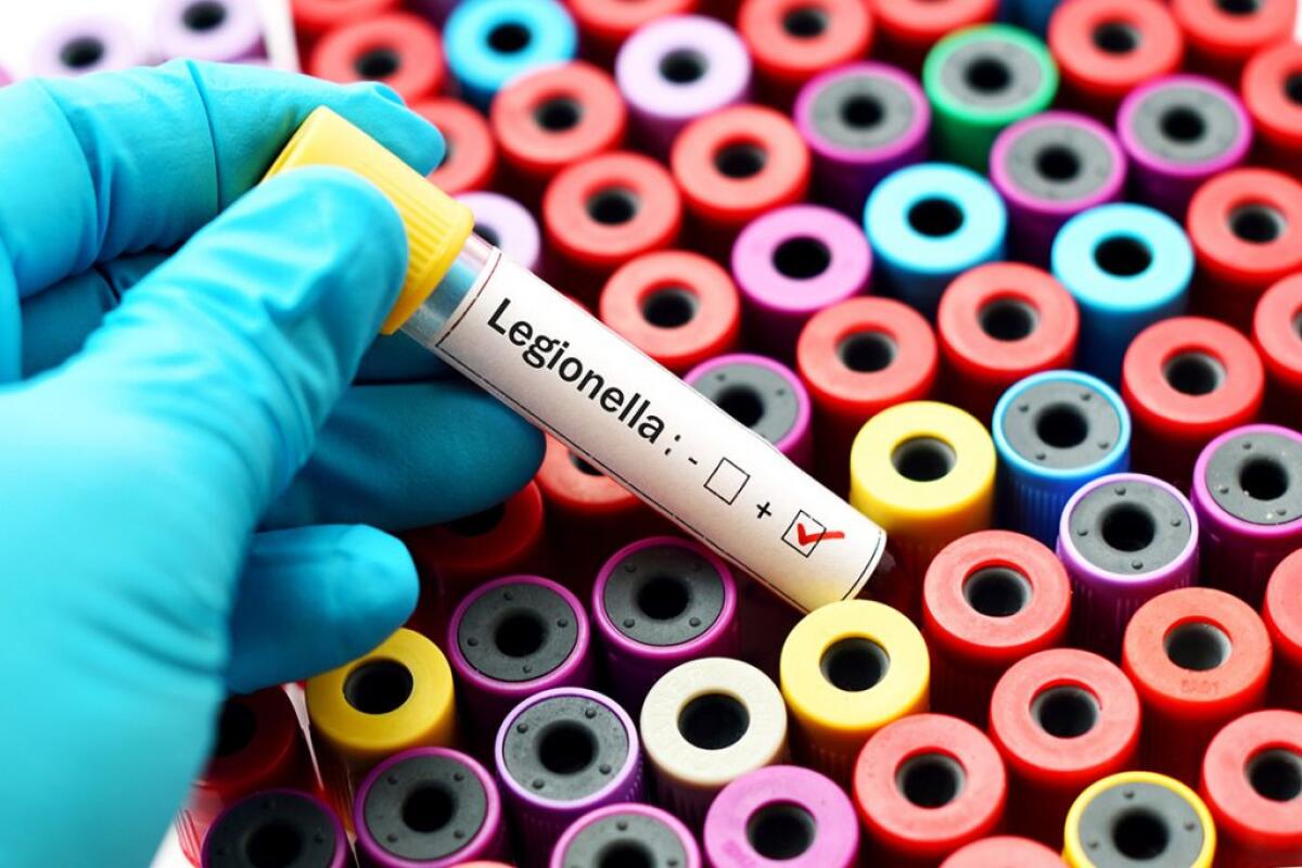 Accertati 16 casi di legionella a Busto Arsizio, un morto - 