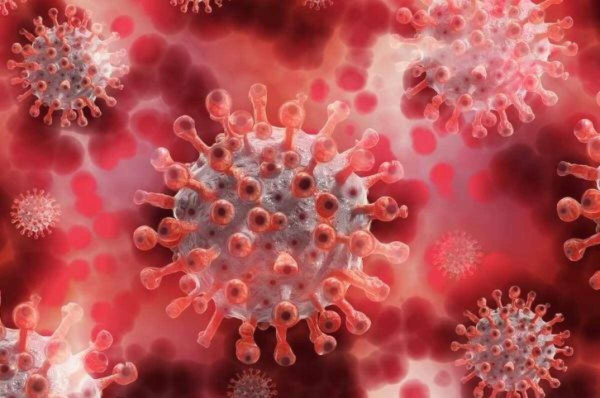 Coronavirus, Sileri “Il vaccino non arriverà prima del 2021” - 