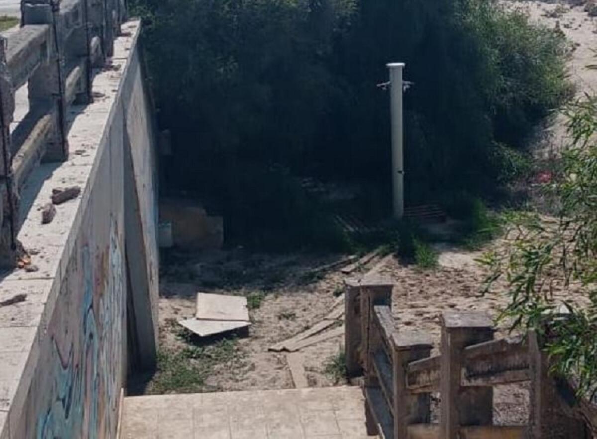 Ratti anche in spiaggia, la denuncia di alcuni cittadini - 