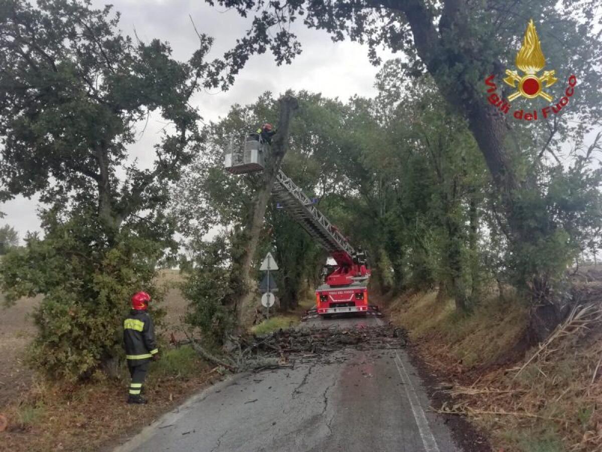 Maltempo, oltre mille interventi dei vigili del fuoco in tutta Italia - 