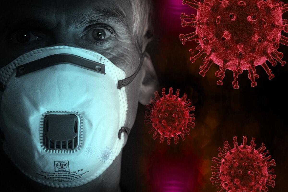 Coronavirus, 1.458 nuovi casi e 7 decessi nelle ultime 24 ore - 