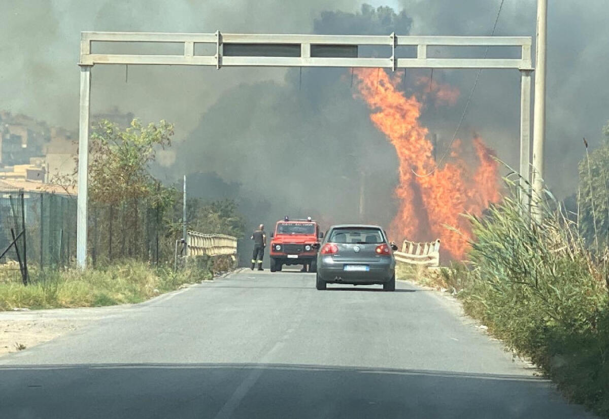 Vasto rogo a poca distanza dal tribunale: in fiamme vegetazione e aree incolte - Le fiamme tra la vegetazione