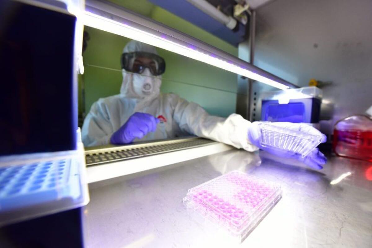 Coronavirus, 1.370 nuovi casi e 10 decessi nelle ultime 24 ore - 