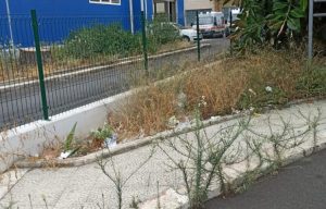 erbacce-pronto-soccorso-300x192.jpg