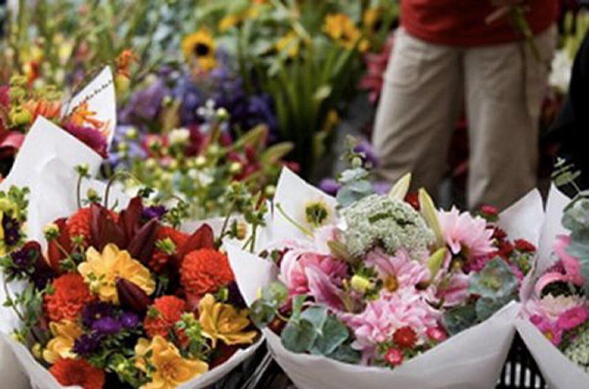 Ingressi contingentati ai cimiteri, i fiorai chiedono controlli anti abusivi - 