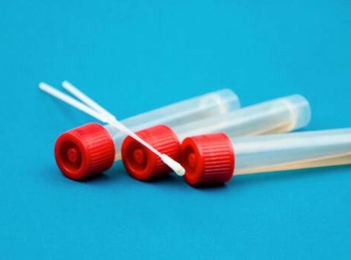 Allerta Covid, quattro casi di positività in città: altrettanti guariti - 