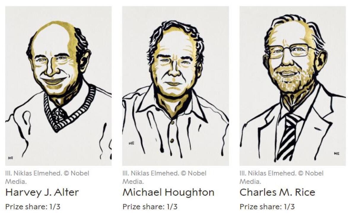Il Nobel per la Medicina a tre virologi per studi sull’Epatite C -
