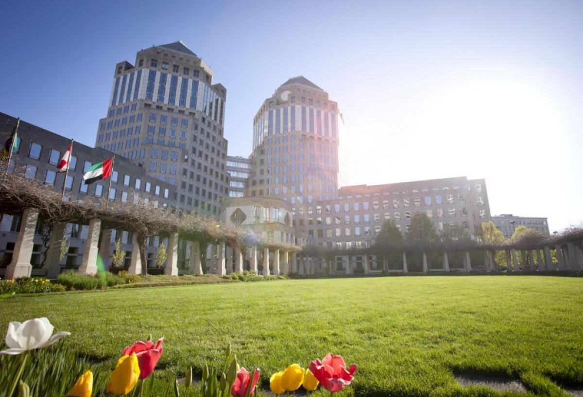 Procter&Gamble, il futuro è green -