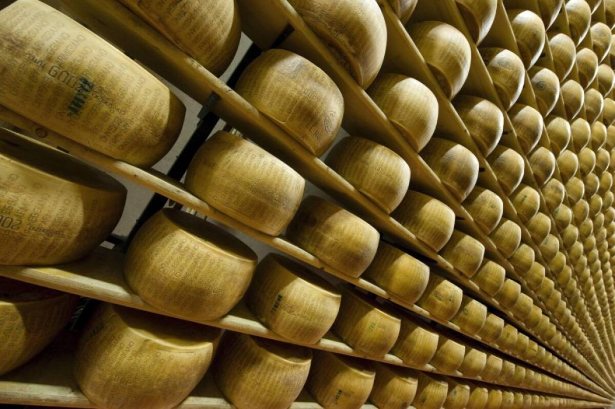 Parmigiano Reggiano, oltre 5 mila visitatori per “Caseifici Aperti” - 