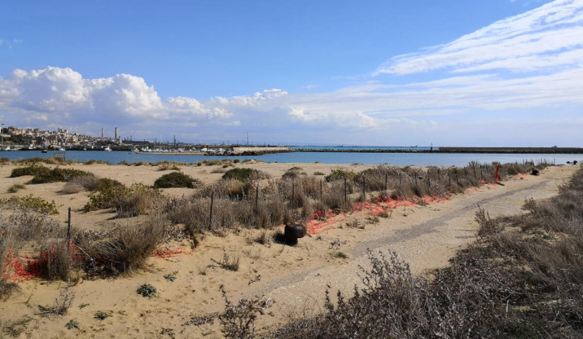"Su porto Regione lumaca", mancano ancora atti ad Ispra: Lorefice scrive al prefetto - 