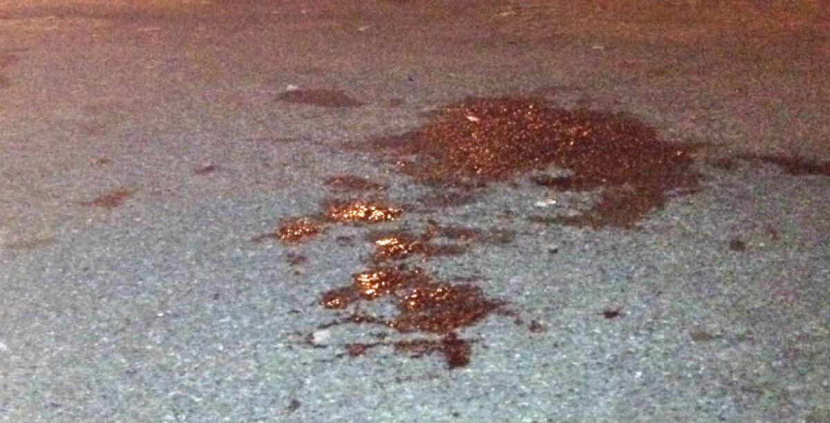 Sangue a Baracche, giovane romeno accusato di tentato omicidio: primi testimoni - 