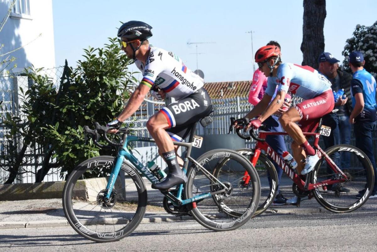 Sagan vince in solitaria la 10a tappa del Giro, Almeida sempre rosa - 