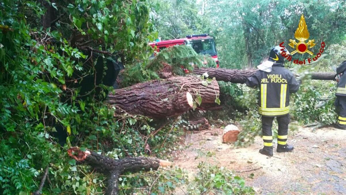 Fiumi esondati in Valle d’Aosta, Vvf volontario muore per crollo albero - 