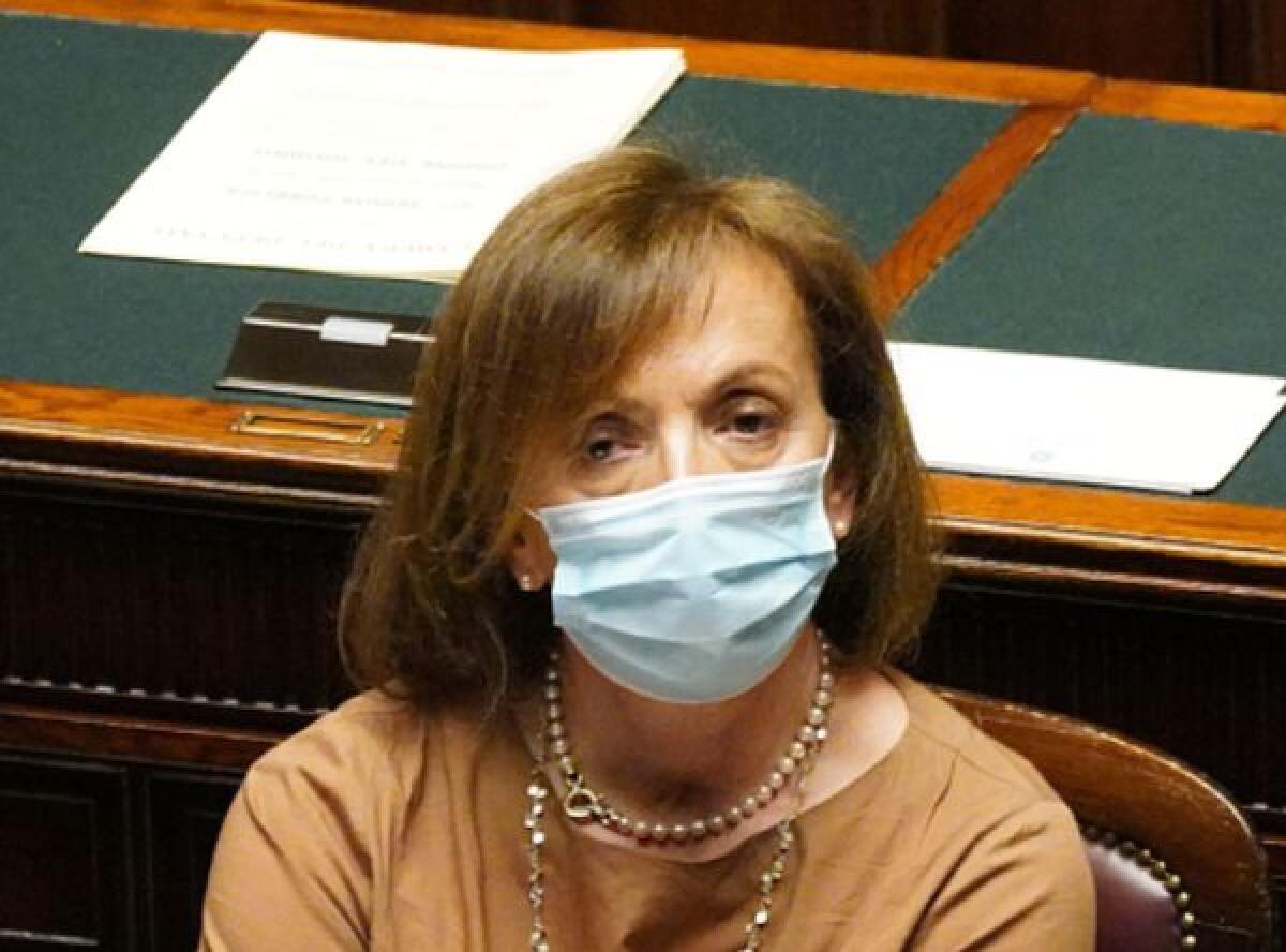 Coronavirus, Zampa”Scaricare Immuni e non uscire quando non necessario” - 