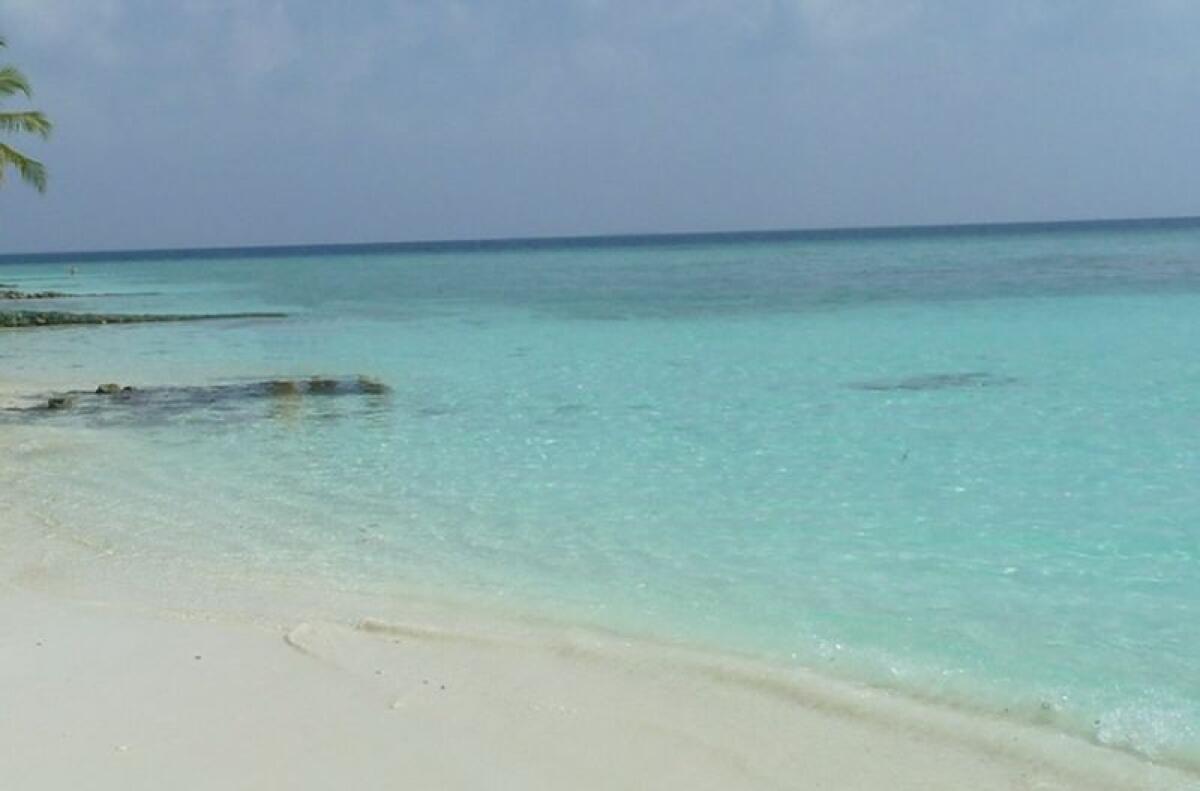 Best practice per la tutela del mare, Pecoraro Scanio “Polmone pianeta” - 