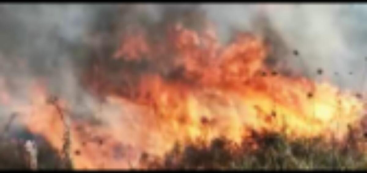 Ancora fiamme a Montelungo, incendio tra la vegetazione - Le fiamme si sono alzate nel primo pomeriggio