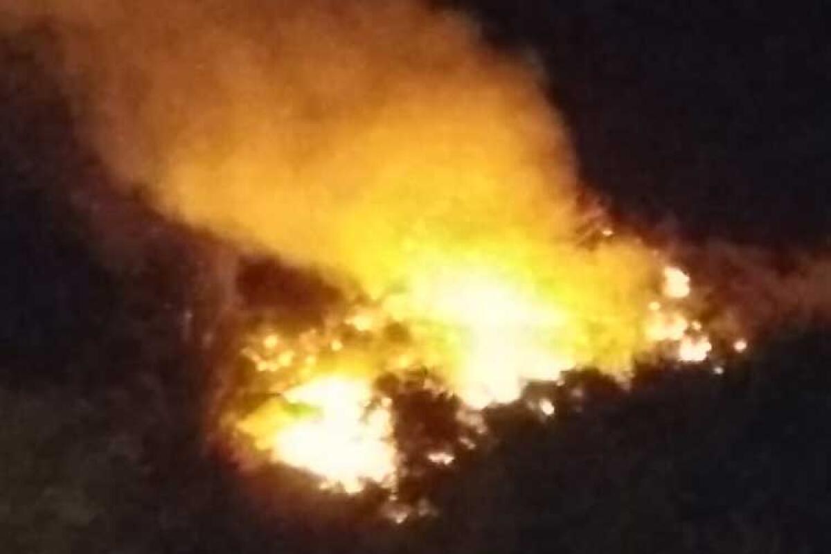 Incendiari in azione a Manfria, fiamme a ridosso delle villette - 