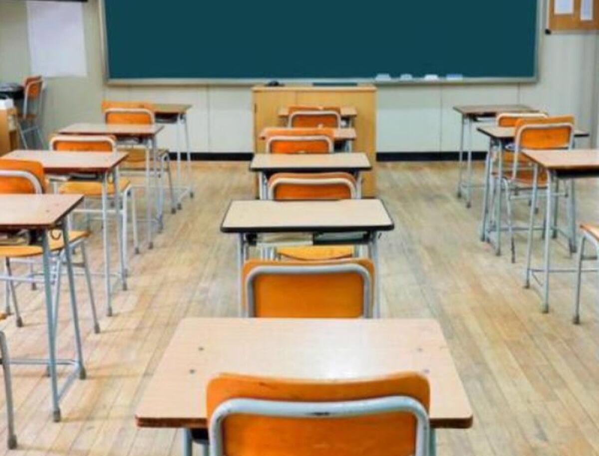 Educazione civica a scuola, corso online gratuito - 