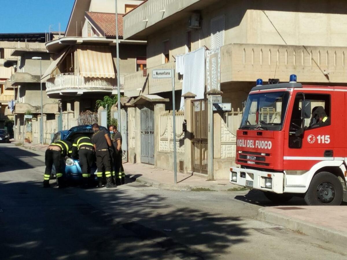 I vigili del fuoco salvano un gattino incastrato in un'auto e lo adottano - 