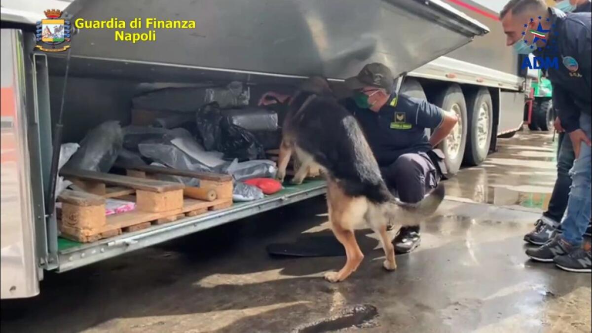 Sequestrati al porto di Napoli 130 kg di hashish, due arresti - 