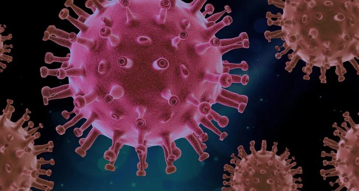 Sequenziato il genoma del virus SARS-CoV-2 che circola in Sicilia - 