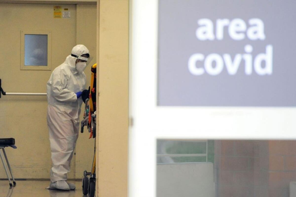 Covid, 33.979 nuovi casi e 546 vittime in 24 ore - 