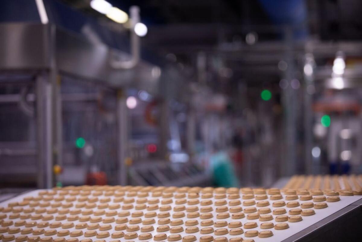 Record per i Nutella Biscuits, Ferrero investe altri 80 mln e assume - 