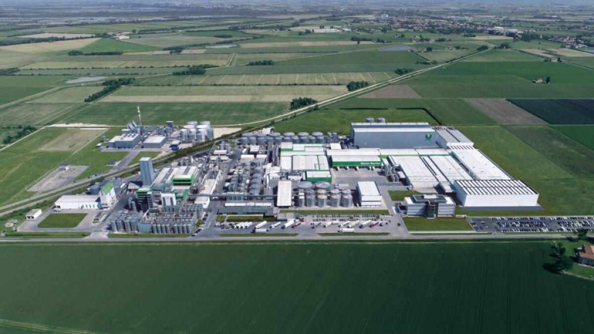 Anicav, Assobibe e Assolatte, intesa con sindacati per rinnovo contratto - 