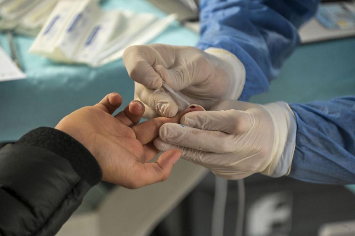 Covid, 20.648 nuovi casi e 541 vittime nelle ultime 24 ore - 