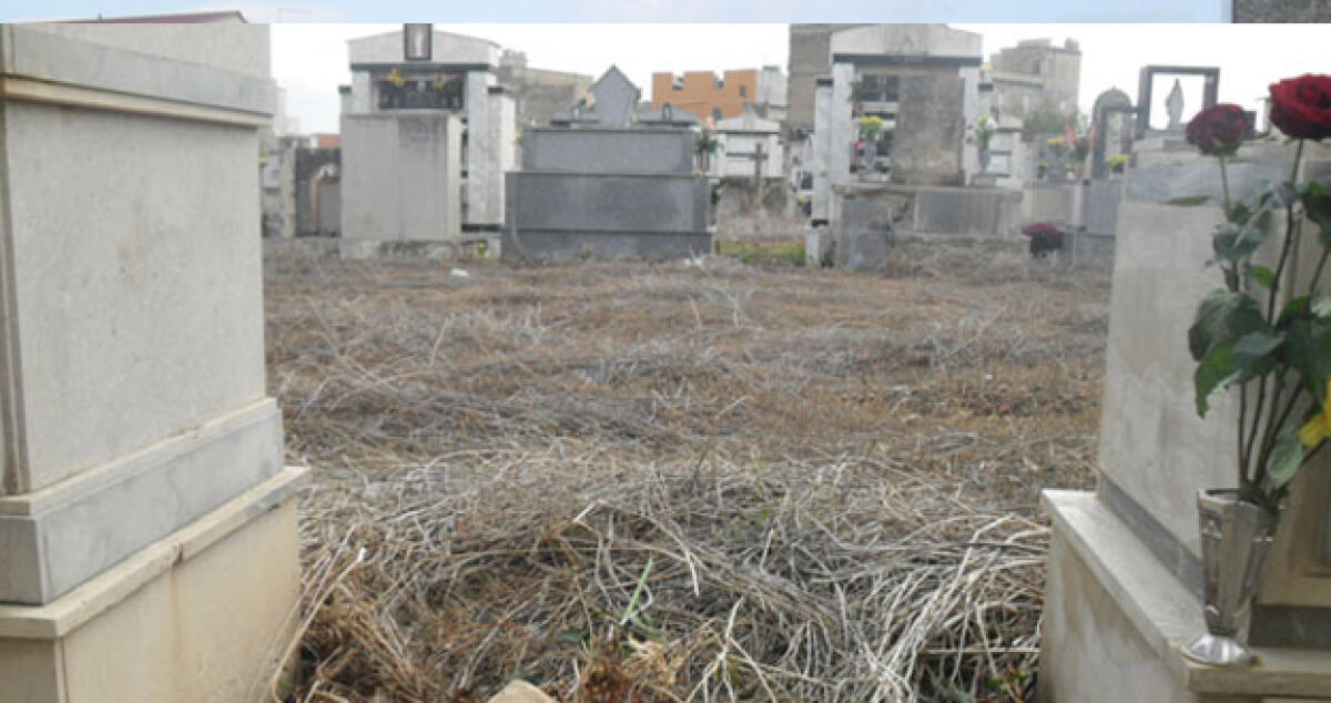 Cimiteri, Greco: "Ci sono soldi per i loculi ma in dieci anni zero programmazione" - 