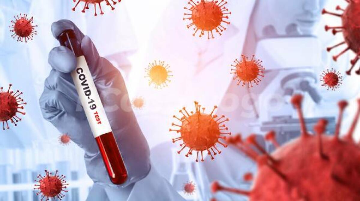 Covid-19, guariti 69 pazienti gelesi: sono 9 i nuovi positivi - 