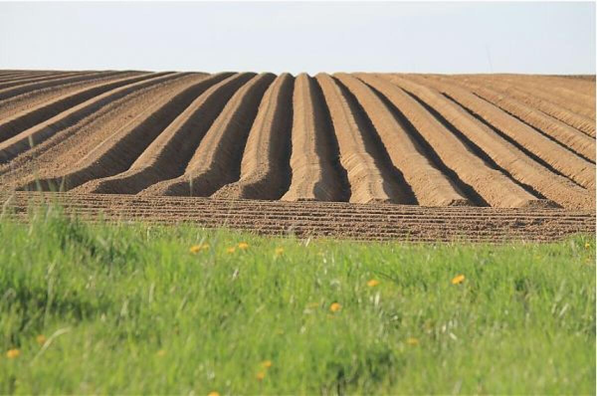 Per Nestlè obiettivo zero emissioni entro il 2050 - 