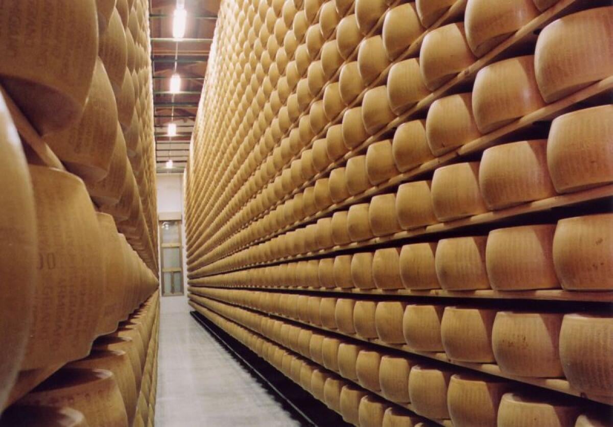 Parmigiano Reggiano, in bilancio preventivo 2021 ricavi a 51,8 milioni - 
