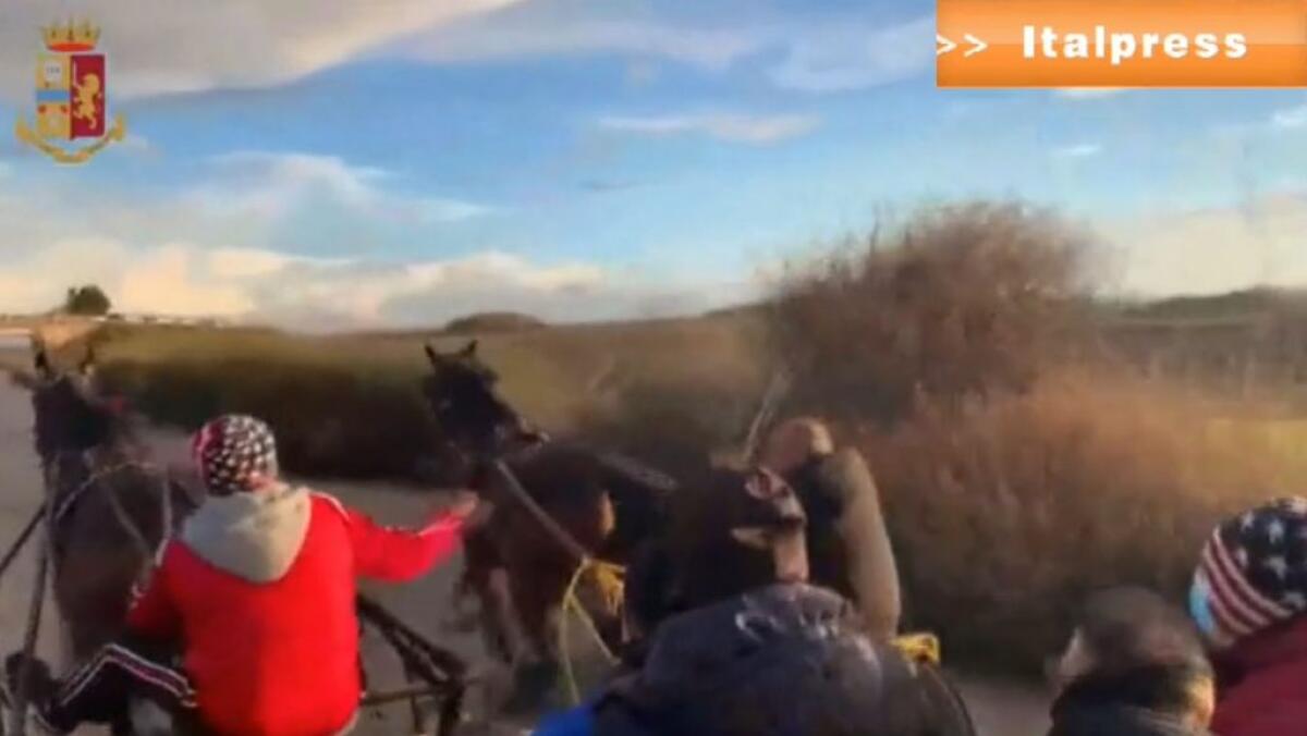 Corsa clandestina di cavalli, 38 denunce nell’agrigentino - 