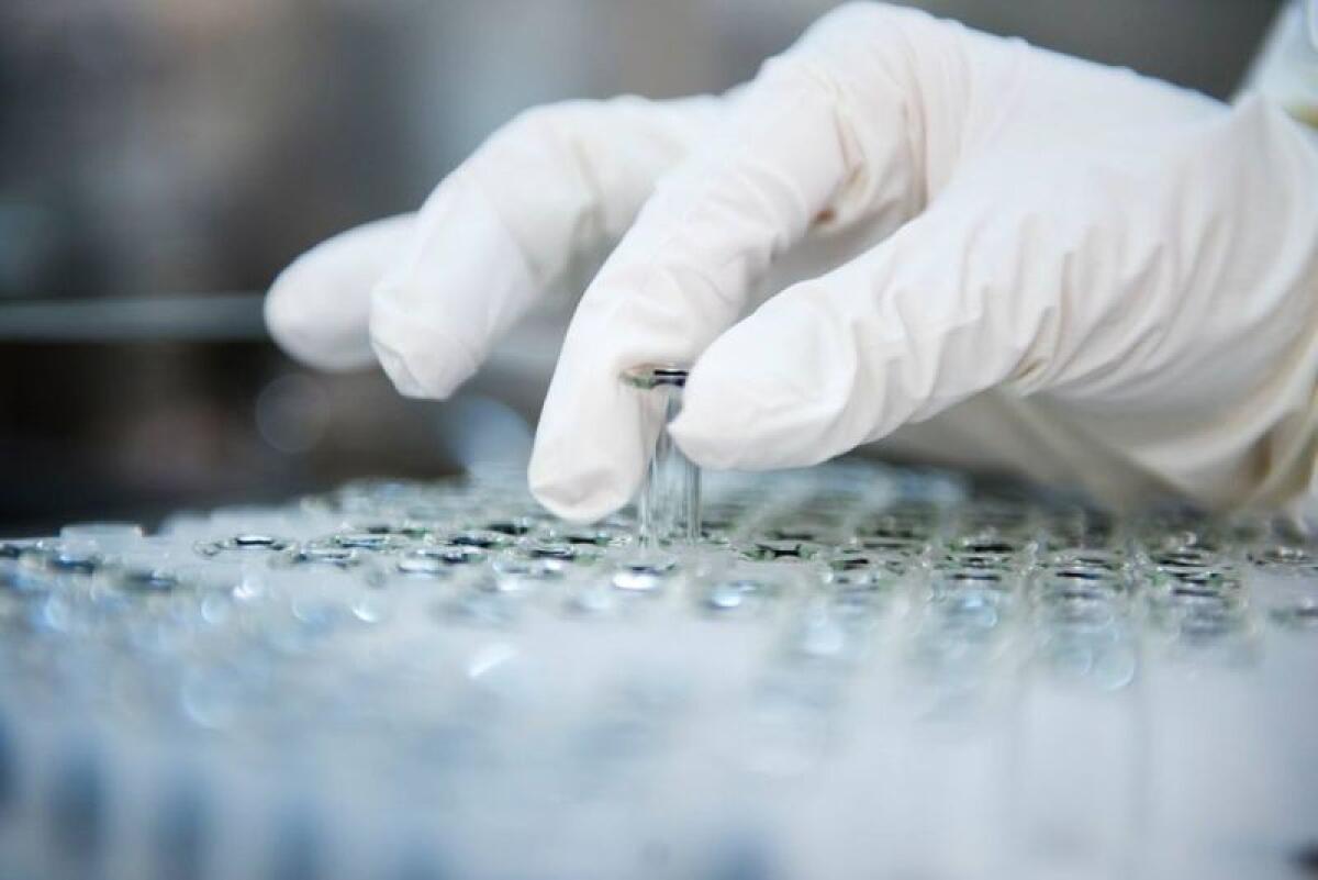 Coronavirus, Regno Unito approva vaccino Astrazeneca/Oxford - 