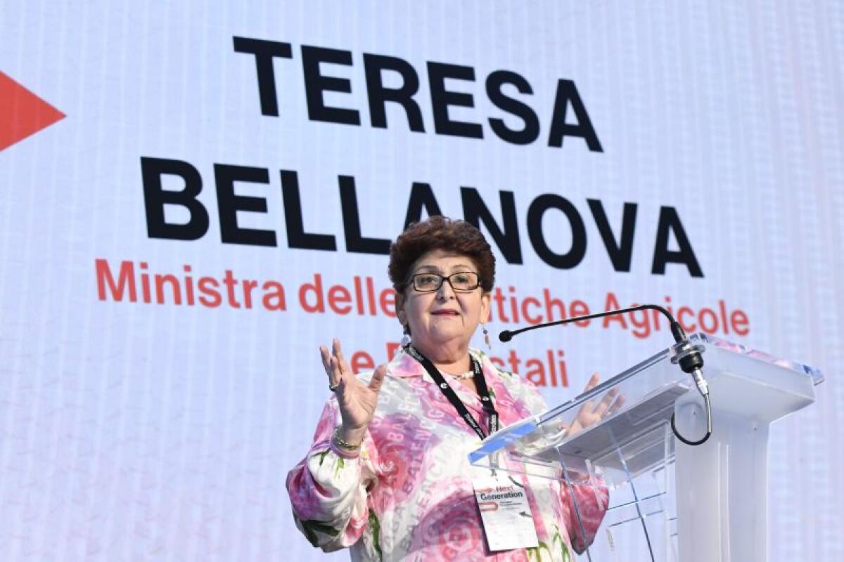 Governo, Bellanova “O si cambia metodo o le persone” - 