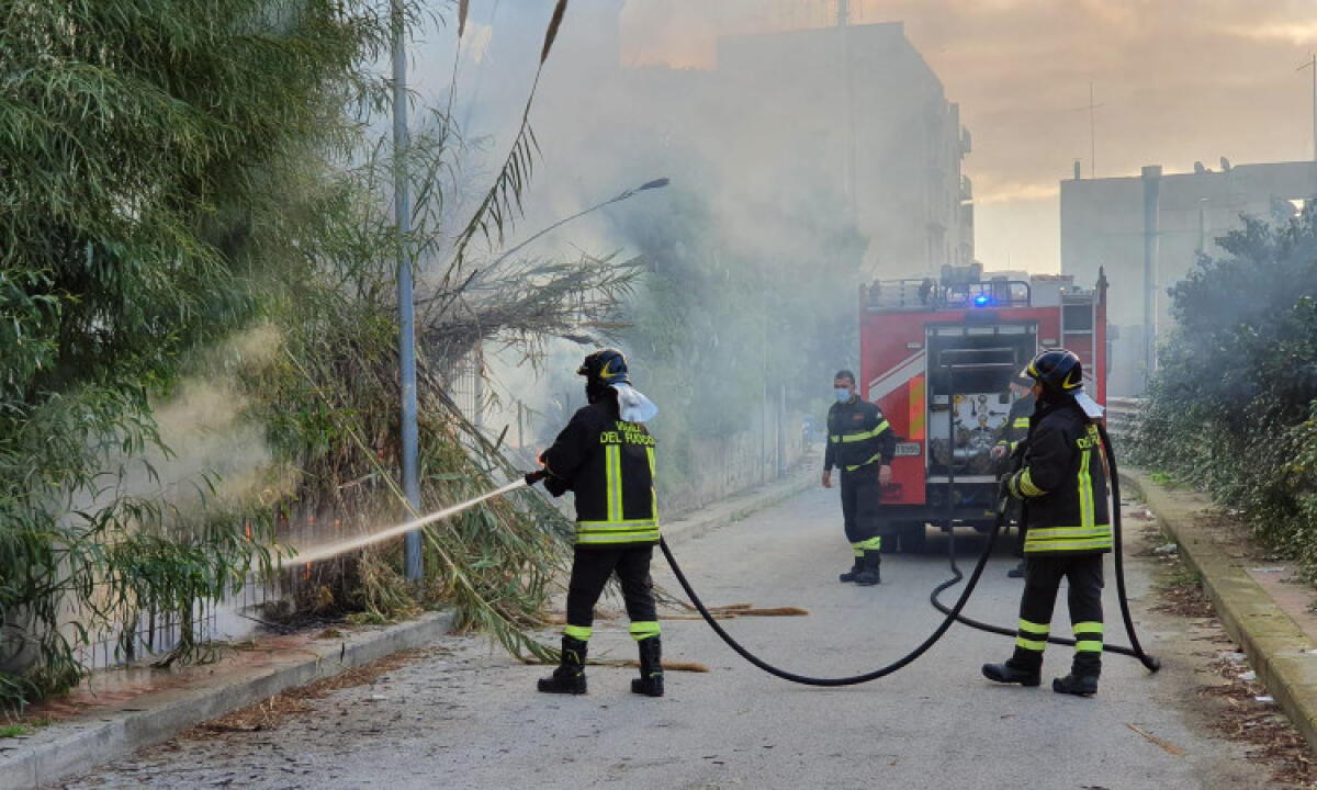 Fiamme in via Dalmazia, fuoco in un'area incolta vicina al parcheggio Arena - Le fiamme in via Dalmazia