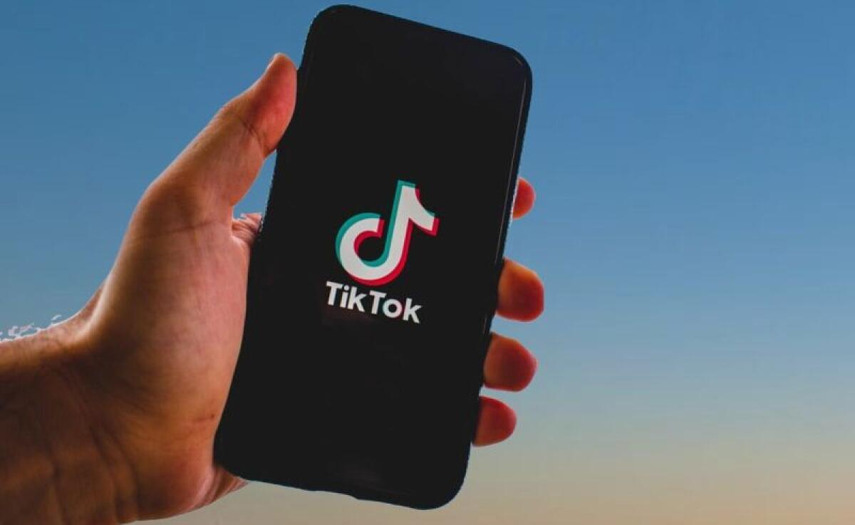Garante privacy dispone blocco Tik Tok profili non verificati - 