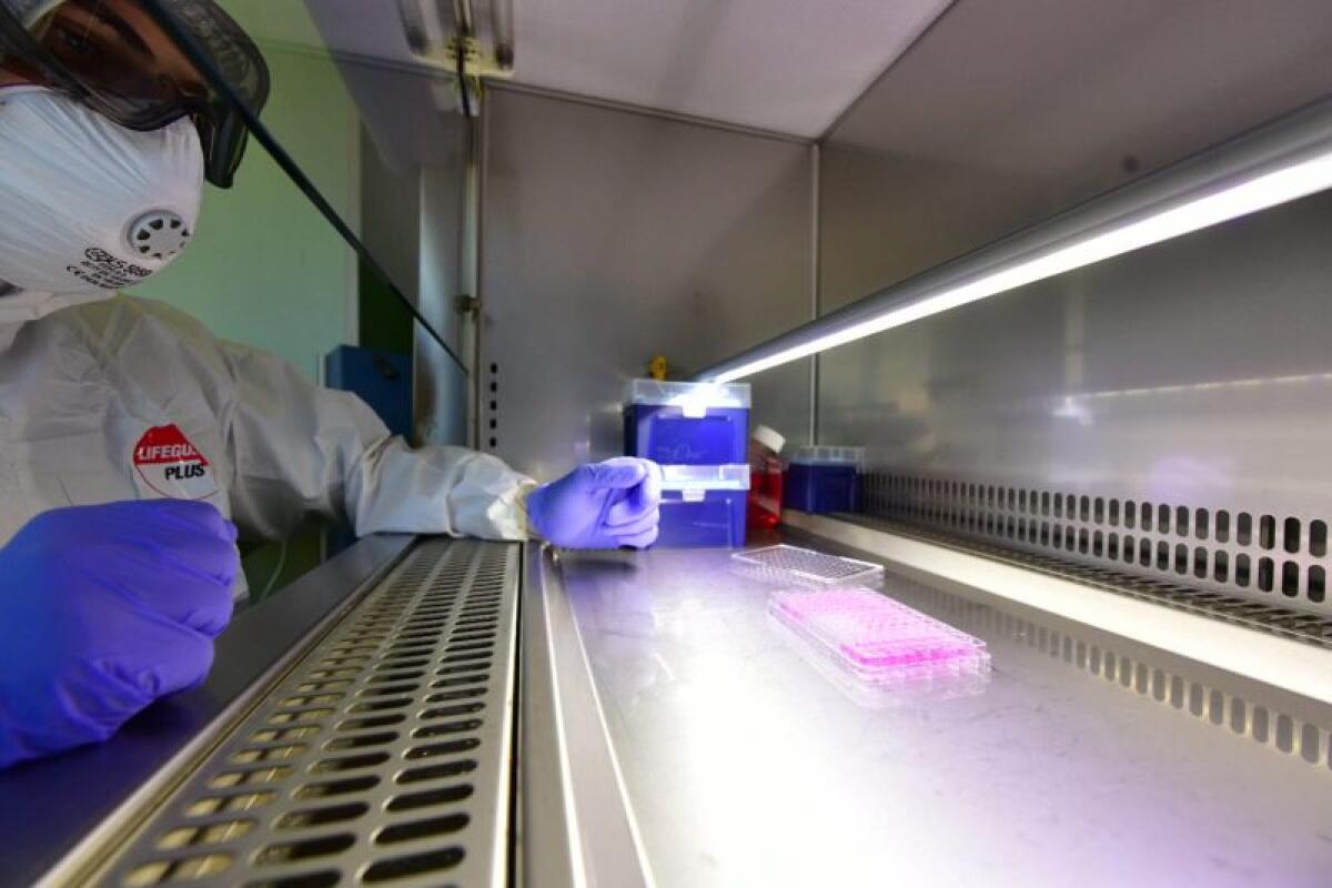 Coronavirus, 10.800 casi e 348 vittime in 24 ore - 
