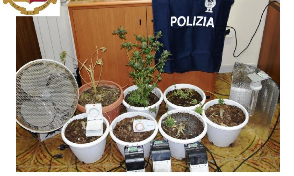 Marijuana in casa, a Niscemi arrestati due fratelli: in città 45enne ai domiciliari - La marijuana sequestrata a Niscemi