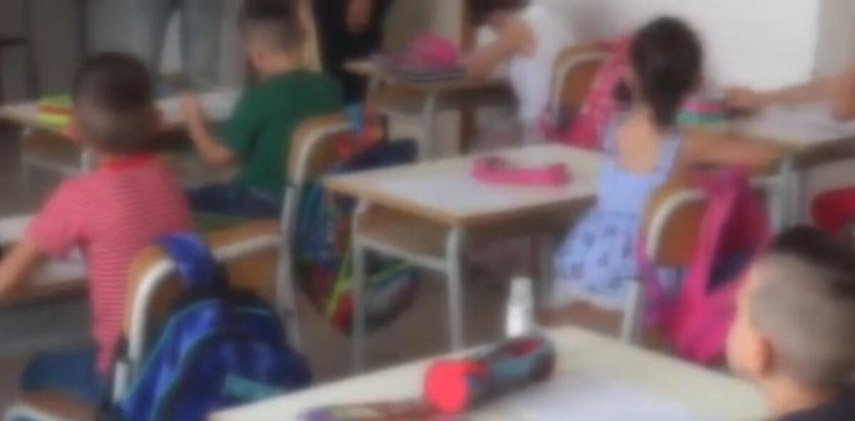 Screening scuole, 5 positivi su 1200: verso riapertura, "ma tamponi solo parziali" - 