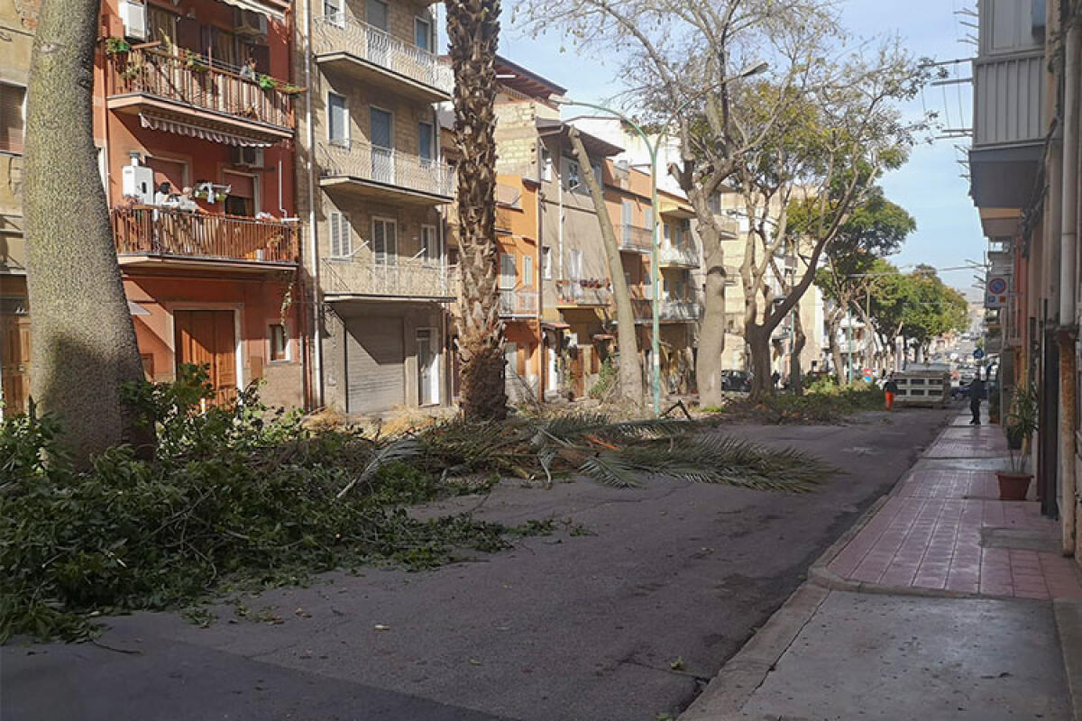 Riqualificazione delle aree verdi, tra polemiche e interventi - 