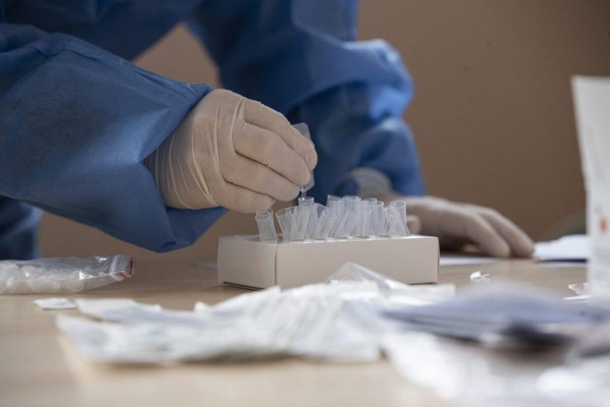 Covid, ministero Salute “Monitorare i tamponi rapidi sulle varianti” - 