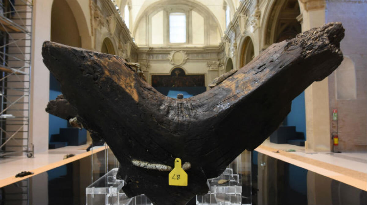 Evento Fai in Webinar: “Il mito di Ulisse e il più grande viaggio mai raccontato" - I resti della nave sono stati esposti a Forlì