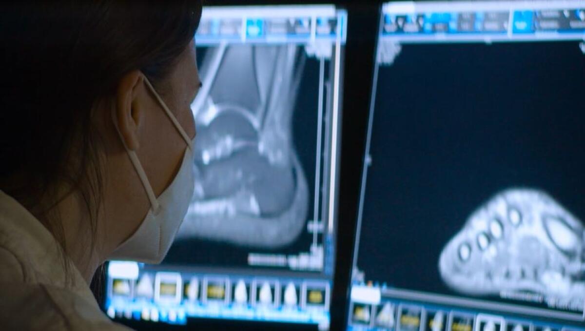 Una nuova Breast Unit per la Fondazione Giglio di Cefalù - 