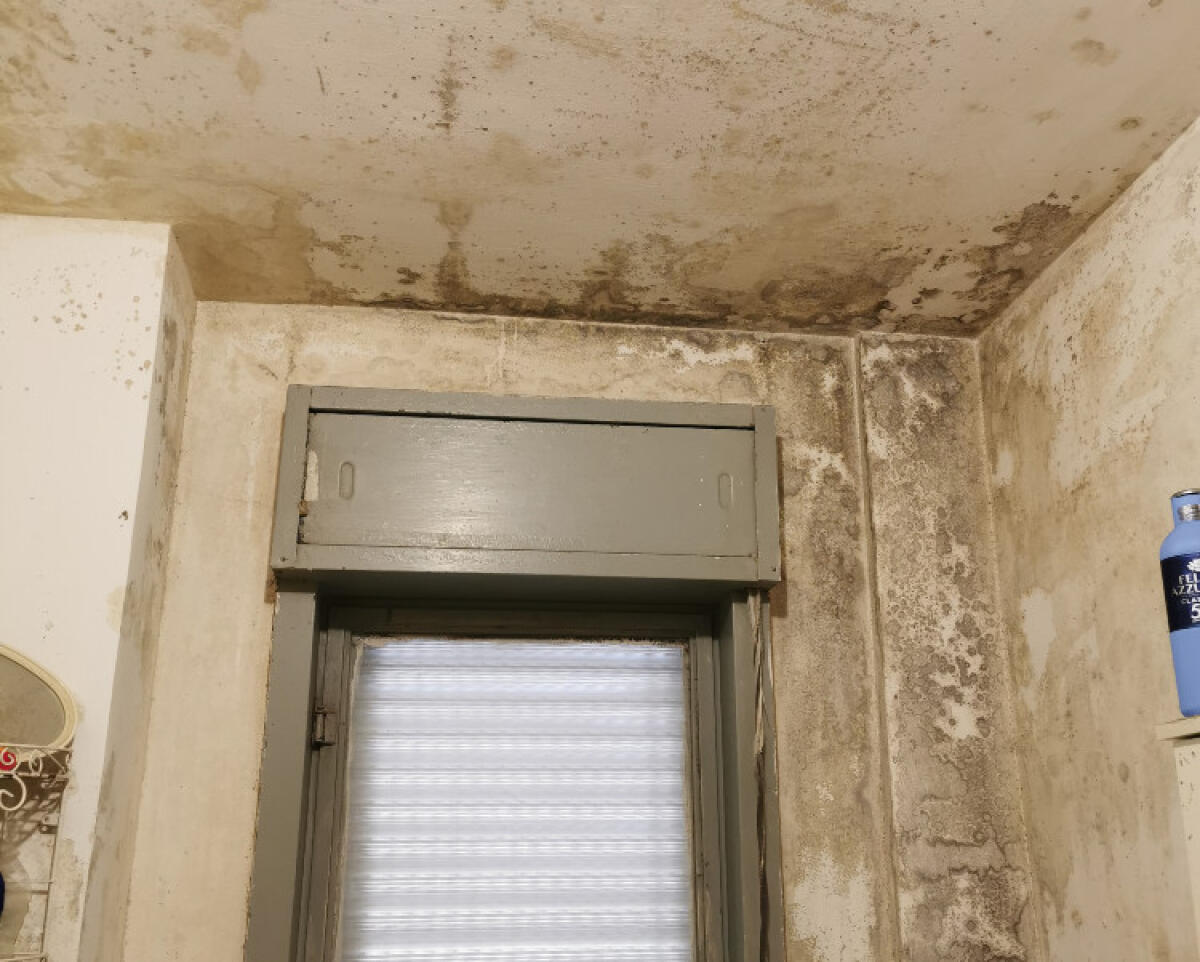 Alloggi popolari a Scavone nel degrado, Giudice: "Chi non ha fatto chieda scusa" - Uno degli alloggi di Scavone