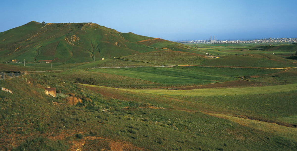 "Tracciato tangenziale viola Prg", osservazioni al ministero: "Vogliono sanare abusi?" - 