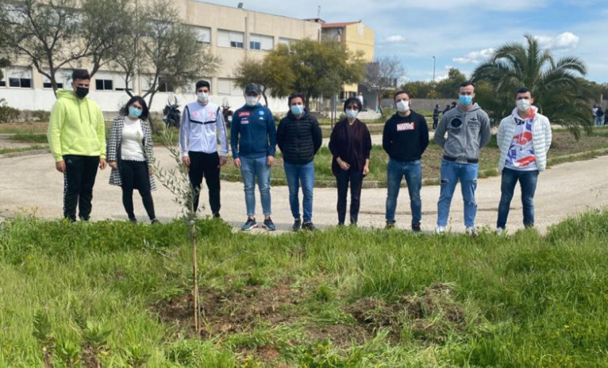 Gli studenti dello "Sturzo" sostengono la campagna per il clima, piantato un ulivo - Gli studenti hanno aderito alla mobilitazione per il clima