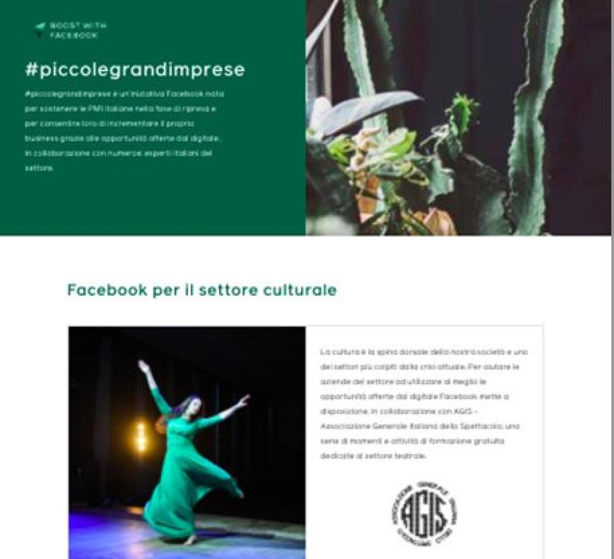 Covid, Facebook e AGIS insieme per sostenere la cultura - 